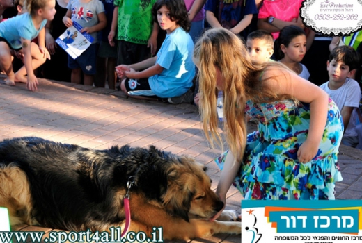 אילוף כלבים