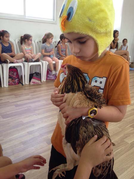 דדילנד 2015